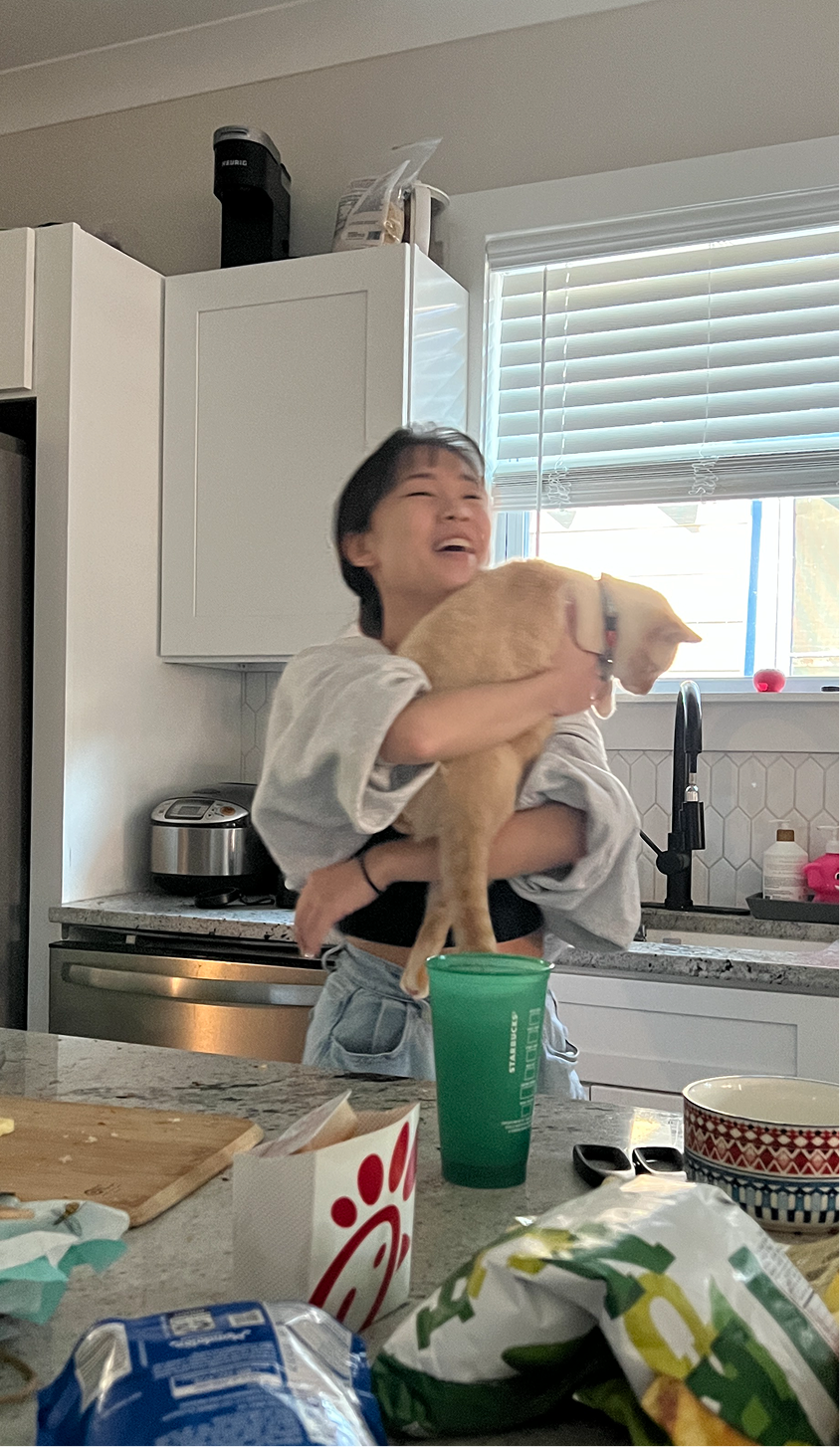 An illustrative sketch of a flower