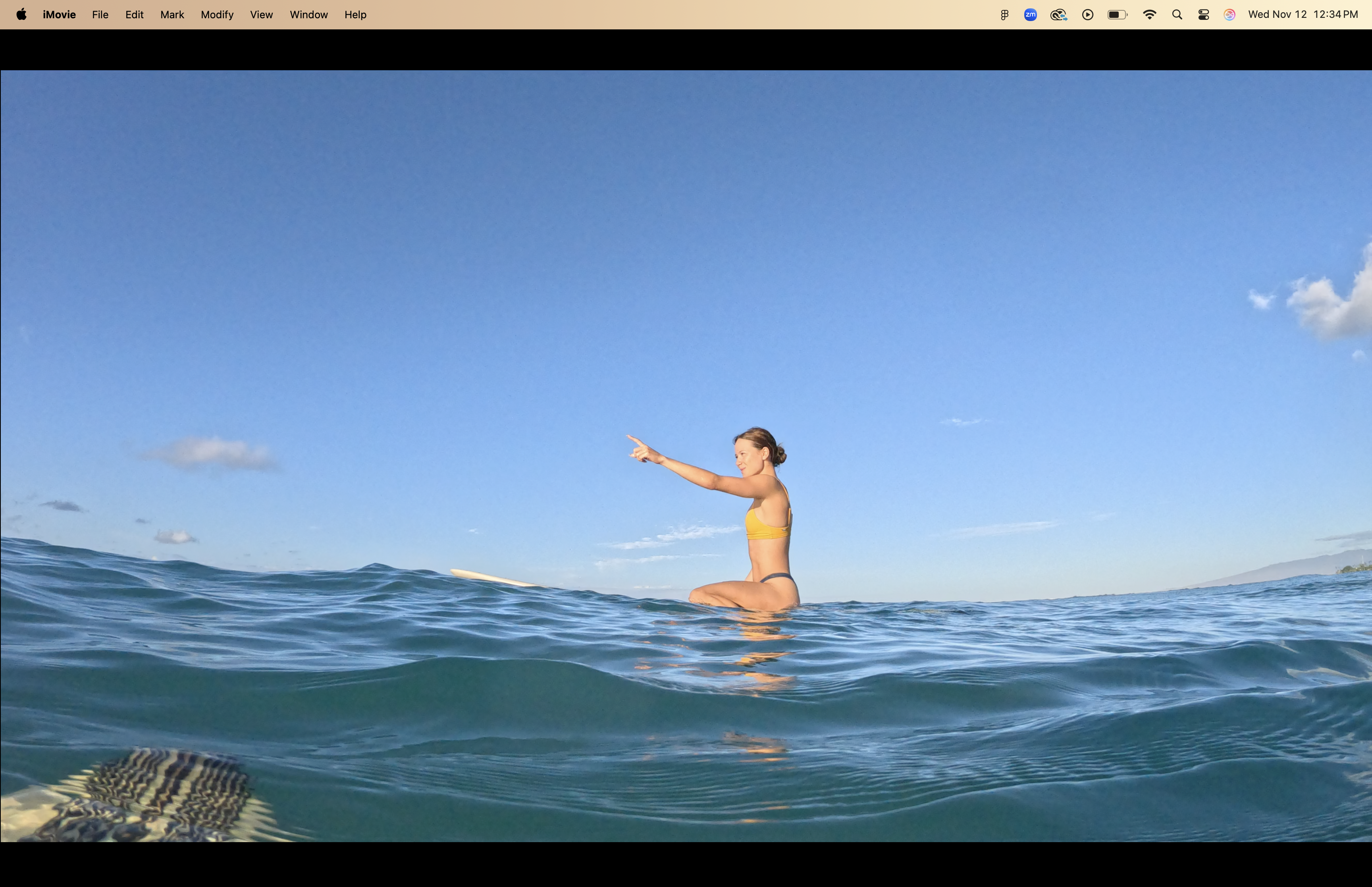 An illustrative sketch of a flower